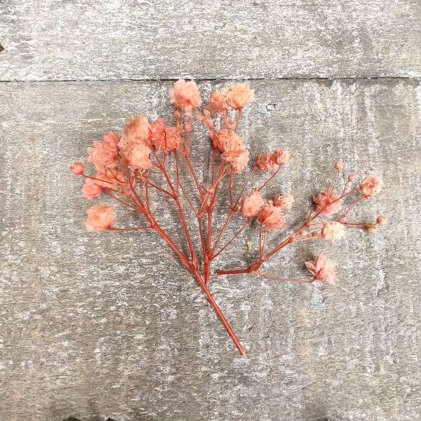 bomboniera cresima tisana